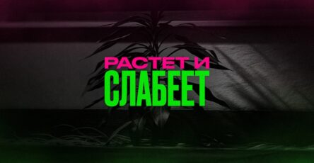 Почему компания может расти и становиться слабее